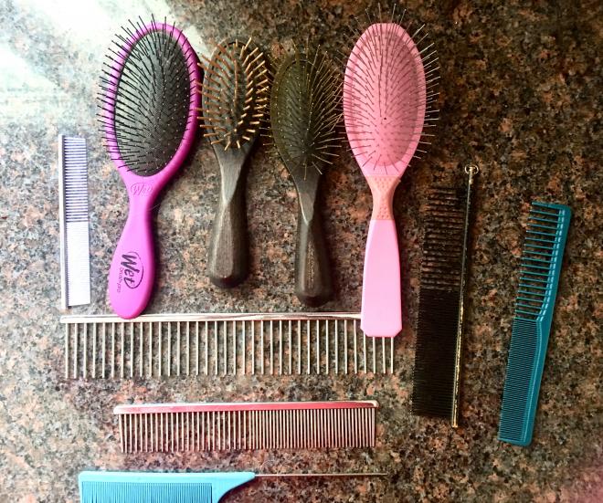 Brushes & Combs